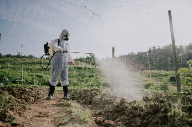Best Mosquito Control Services  in Burney, CA