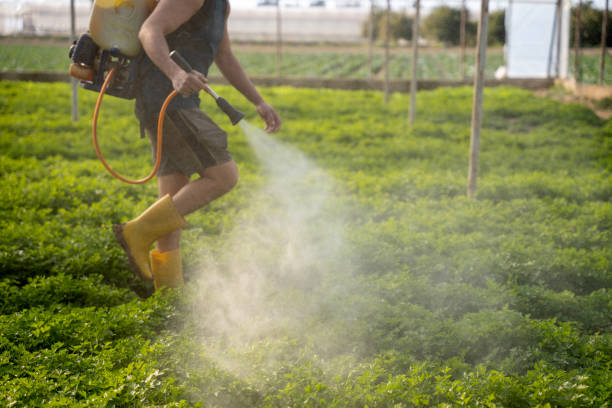 Professional Pest Control in Burney, CA