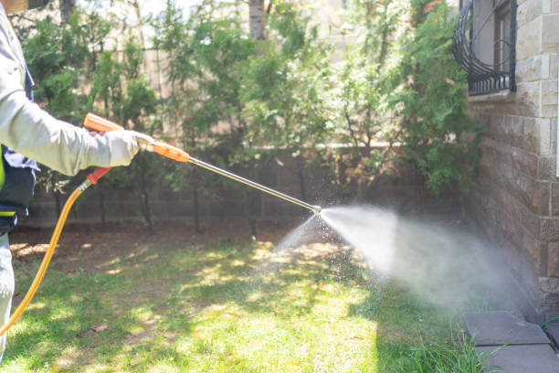 Best Emergency Pest Control  in Burney, CA