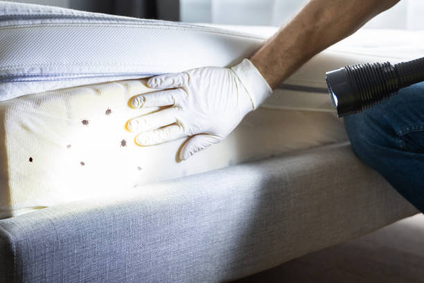 Best Wildlife Control Services  in Burney, CA