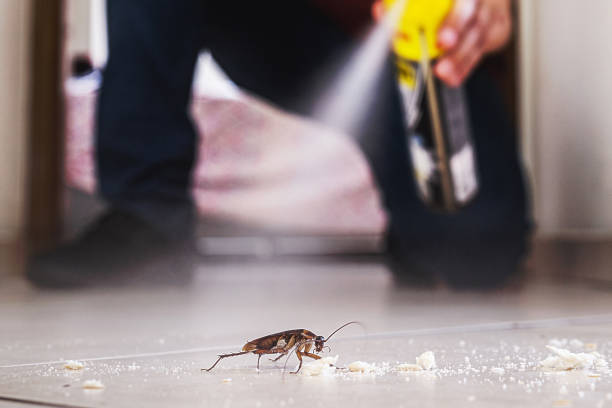 Best Best Pest Control Near Me  in Burney, CA